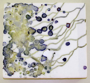 Reaching Over with organics and resin on glass