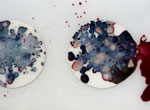 Punctured Spheres with organics and resin on foam